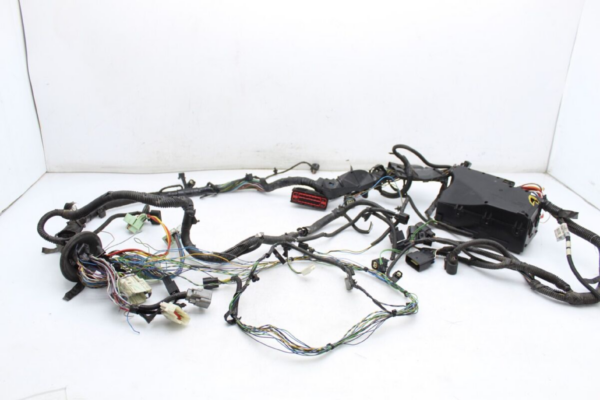 ARNÉS DE MOTOR - Imagen 3